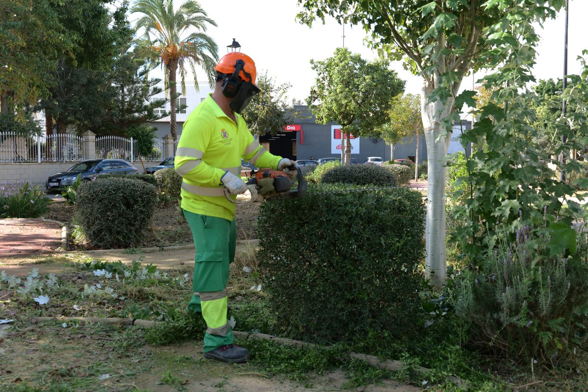 Jardines de Cartagena tweet media