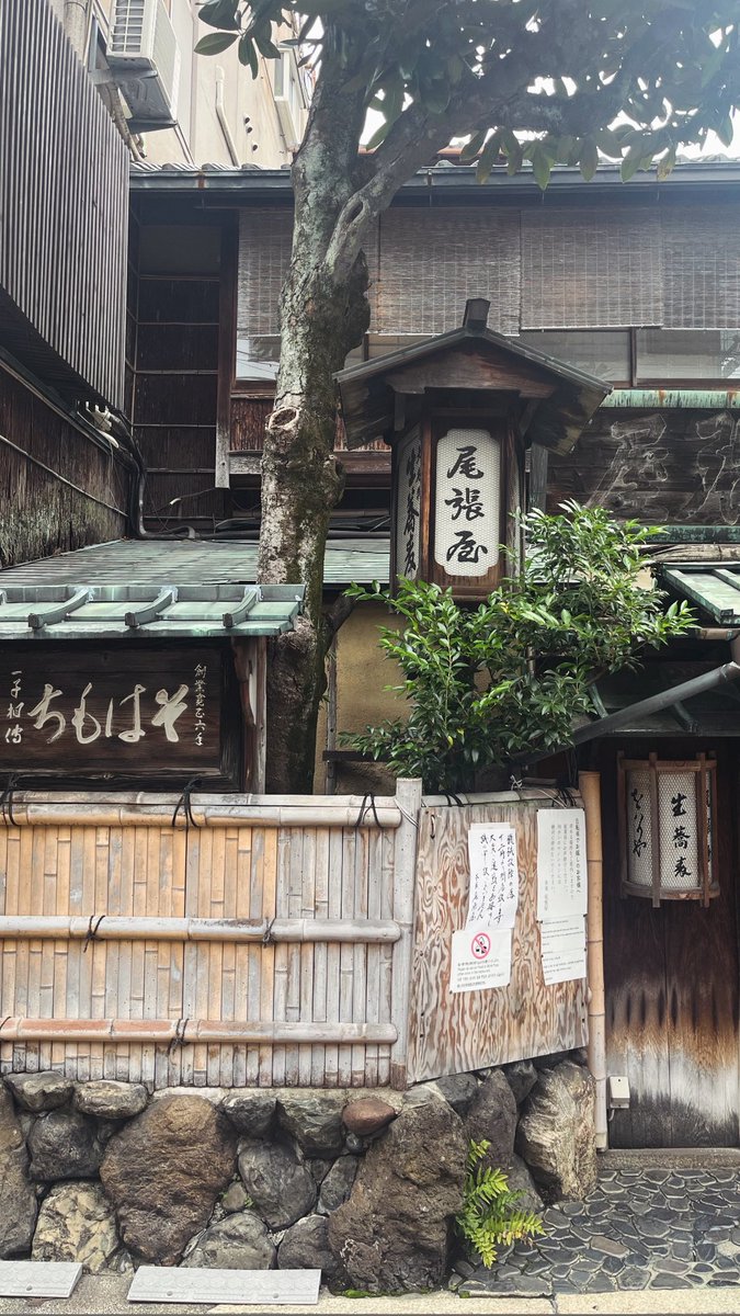 yappi____c's tweet image. 閉店が決まってる尾張屋本店
美味しいお蕎麦でした🙂‍↕️◎