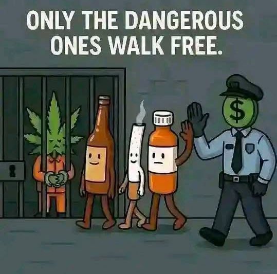 𝔸𝕟𝕘𝕖𝕝🪽 (@angelthehighest) on Twitter photo 