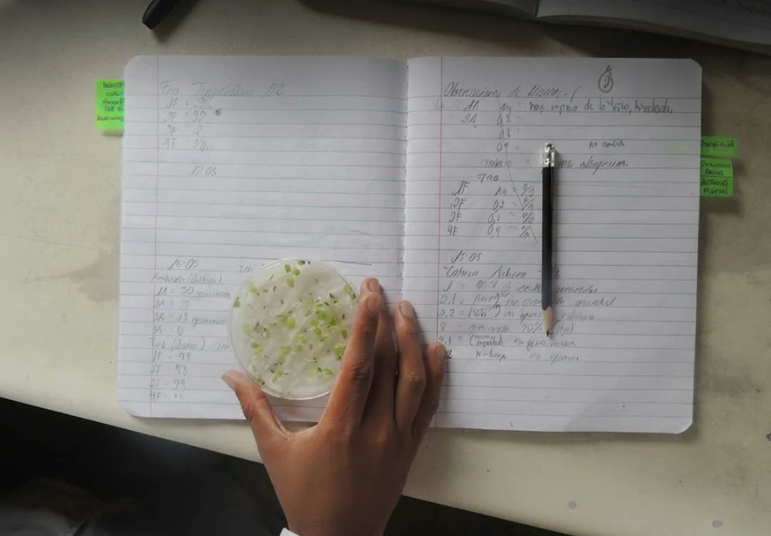 La ideologización marcó el inicio de la crisis de las ciencias en Venezuela

Esta situación condena al país a un rezago profundo en la generación de conocimiento, afectando directamente su desarrollo y capacidad de respuesta caleidohumano.org/la-ideologizac…