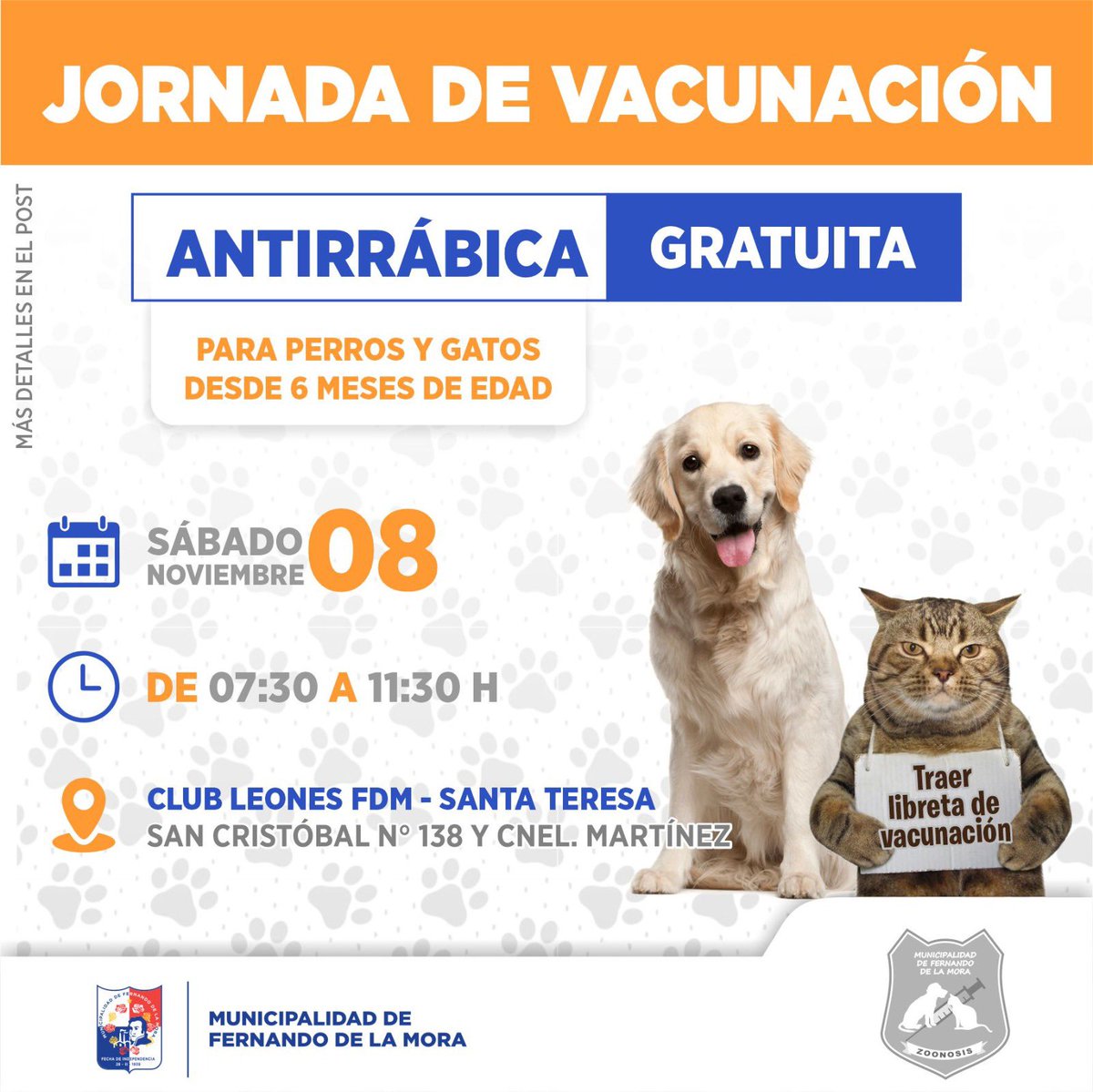 Municipalidad de Fernando de la Mora tweet media