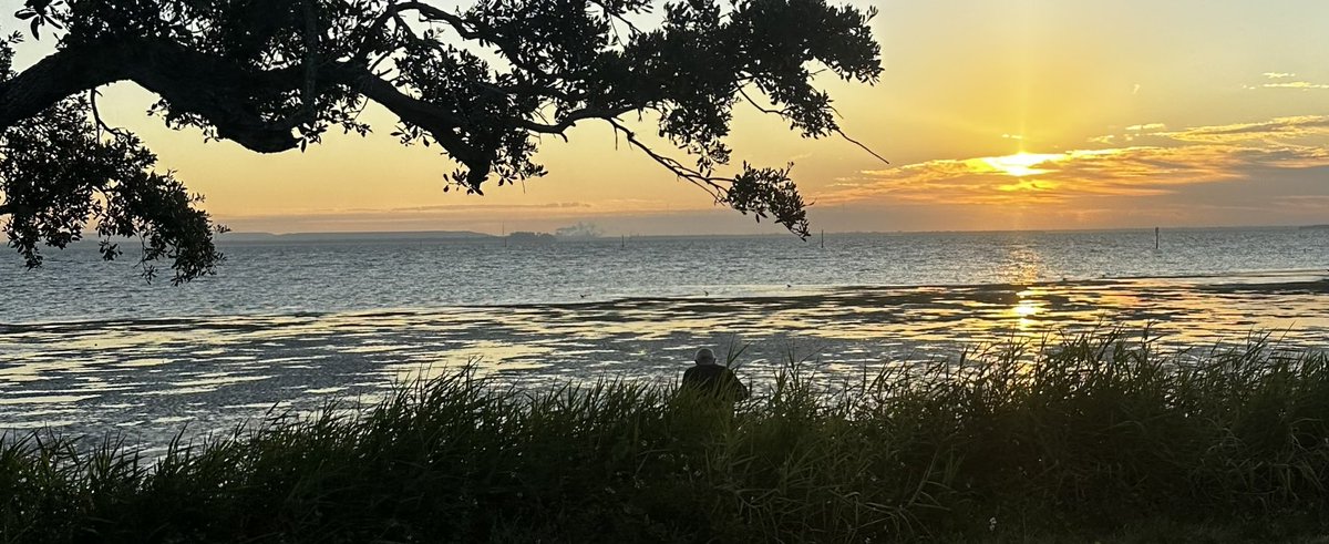 Beautiful moon and sunrise this morning Tampa