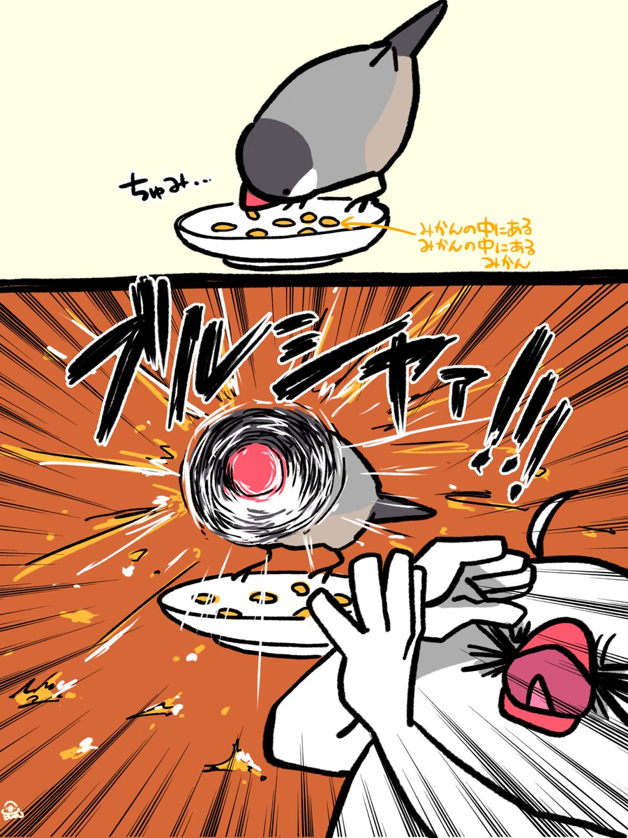 𝘀°𝗽𝗵𝗶𝗲@ (@sophie_atmark) / Posts / X