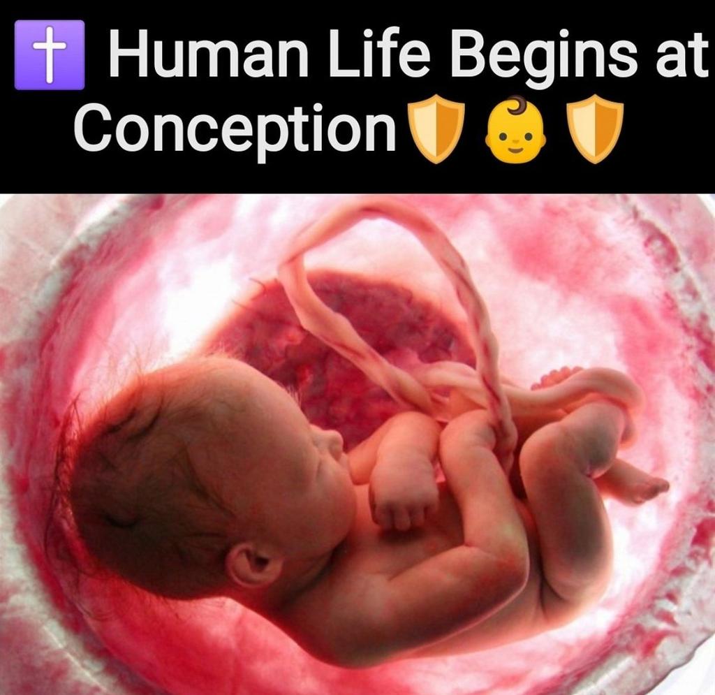 2022JEJ's tweet image. TRUMP IS YOUR PRESIDENT USA🇺🇸✝️🧐 @ZohranKMamdani ✋ #TheRedApple 🍎🍉 #Soros #Communism #Islam