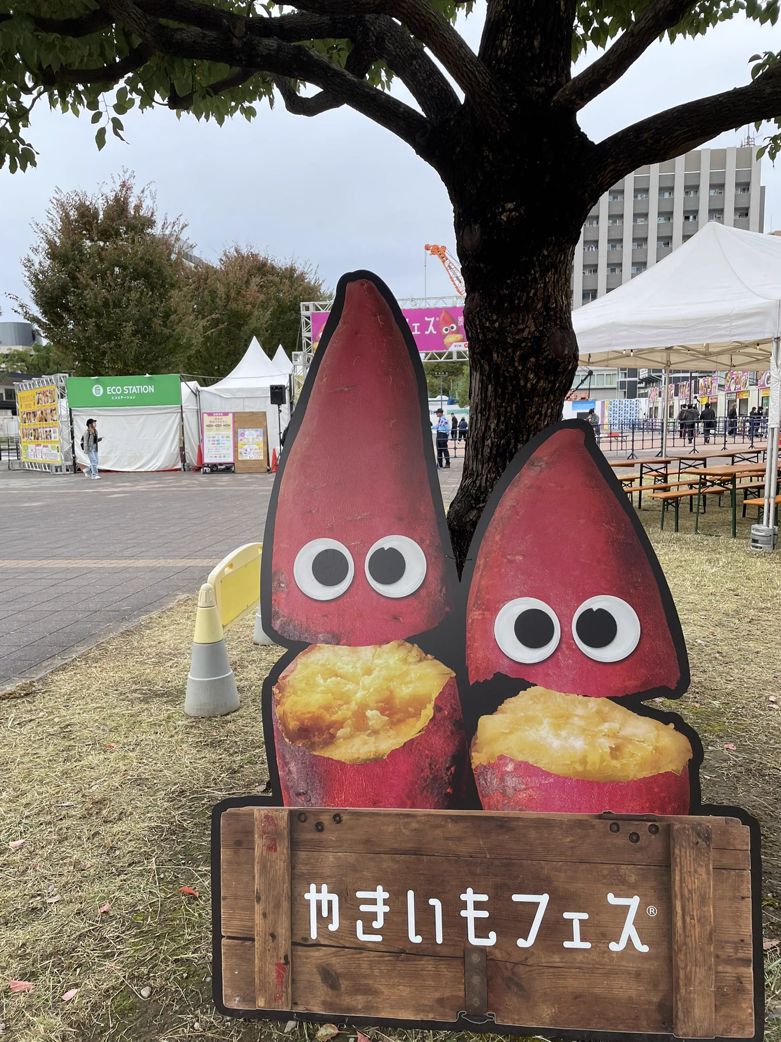 やきいもフェス®️ (@Yaki_imofes) / X