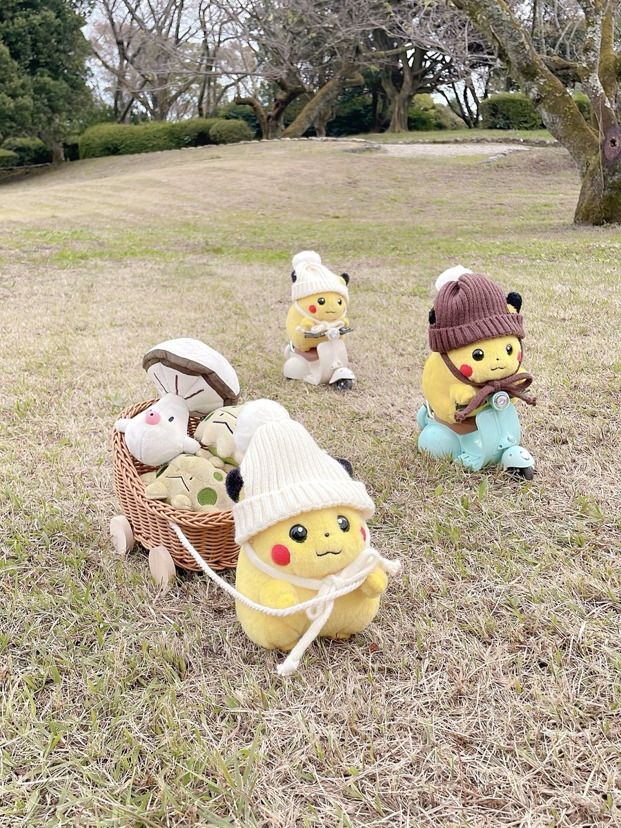 キノコ狩り行って来たピカ🍄‍🟫🍄