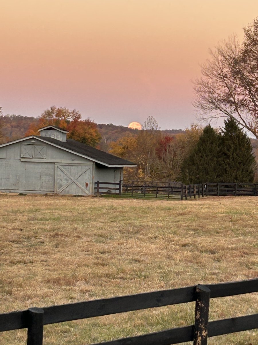 Caught the moon this morning before it retired for the day