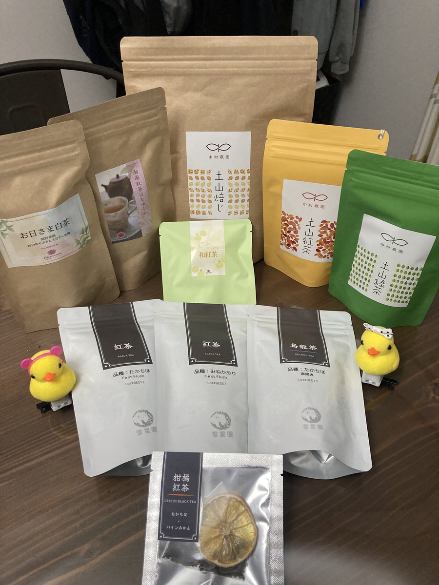 ぶ*か様 山採りカマツカ　H190cm W110cm いろいろ楽しむゴーヤ on X