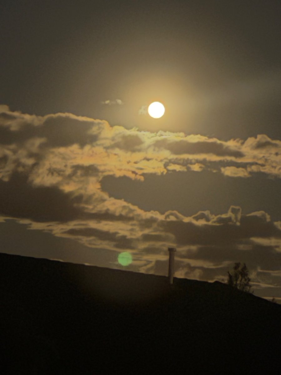 alex_whybrow's tweet image. Magnificent