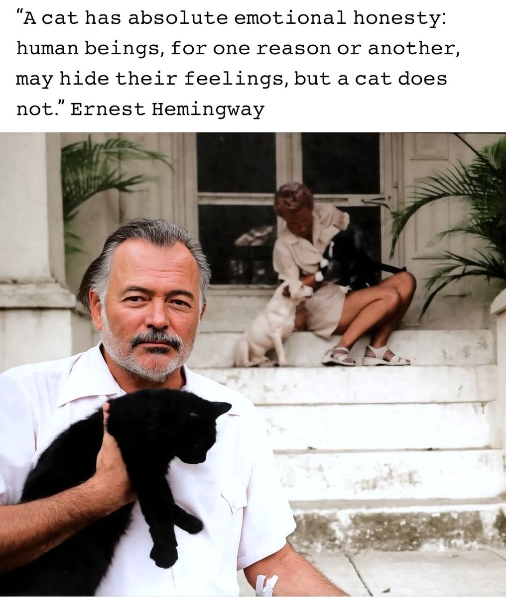 Brad Blair (@bradupprs) on Twitter photo 