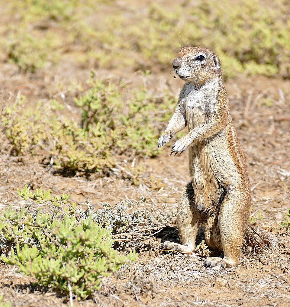 Quite Interesting tweet media