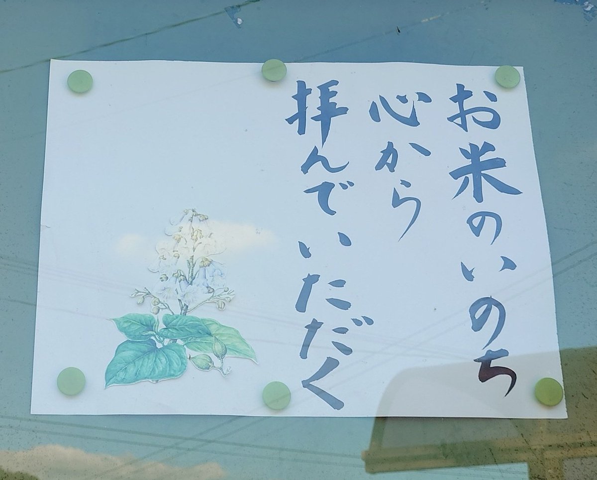 🌠寬⚡神🌠 on X