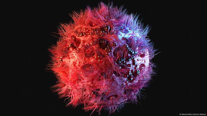 ceanglobal's tweet image. 🚨 Breakthrough in HIV research! German scientists in Cologne have discovered a rare antibody, 04A06, that blocks 98% of HIV strains in lab tests. Could this change the future of AIDS treatment? 🌍💪 #HIV #MedicalBreakthrough #Science #Hope