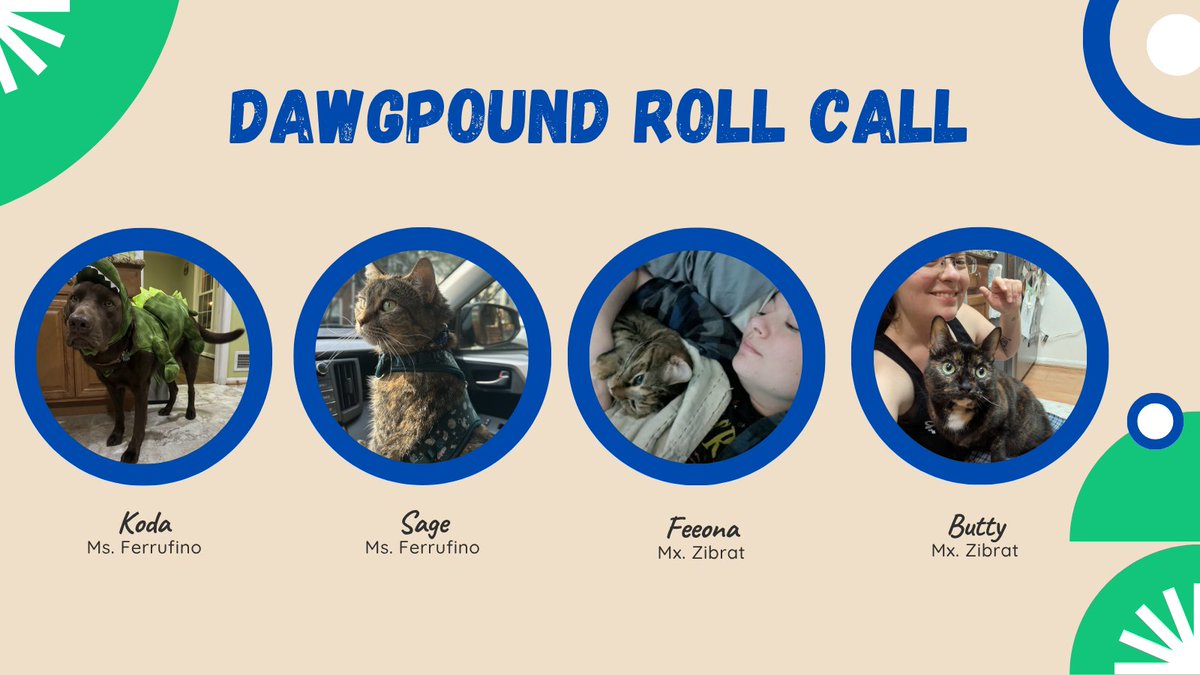 🐾 It’s Get Moving Wednesday! Let’s stretch those paws and meet more of our Dawgpound pets on the move! 🚶‍⬛🐶