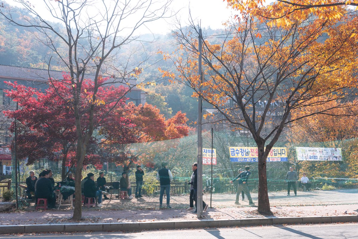 Autumn in Korea 🍁🍂