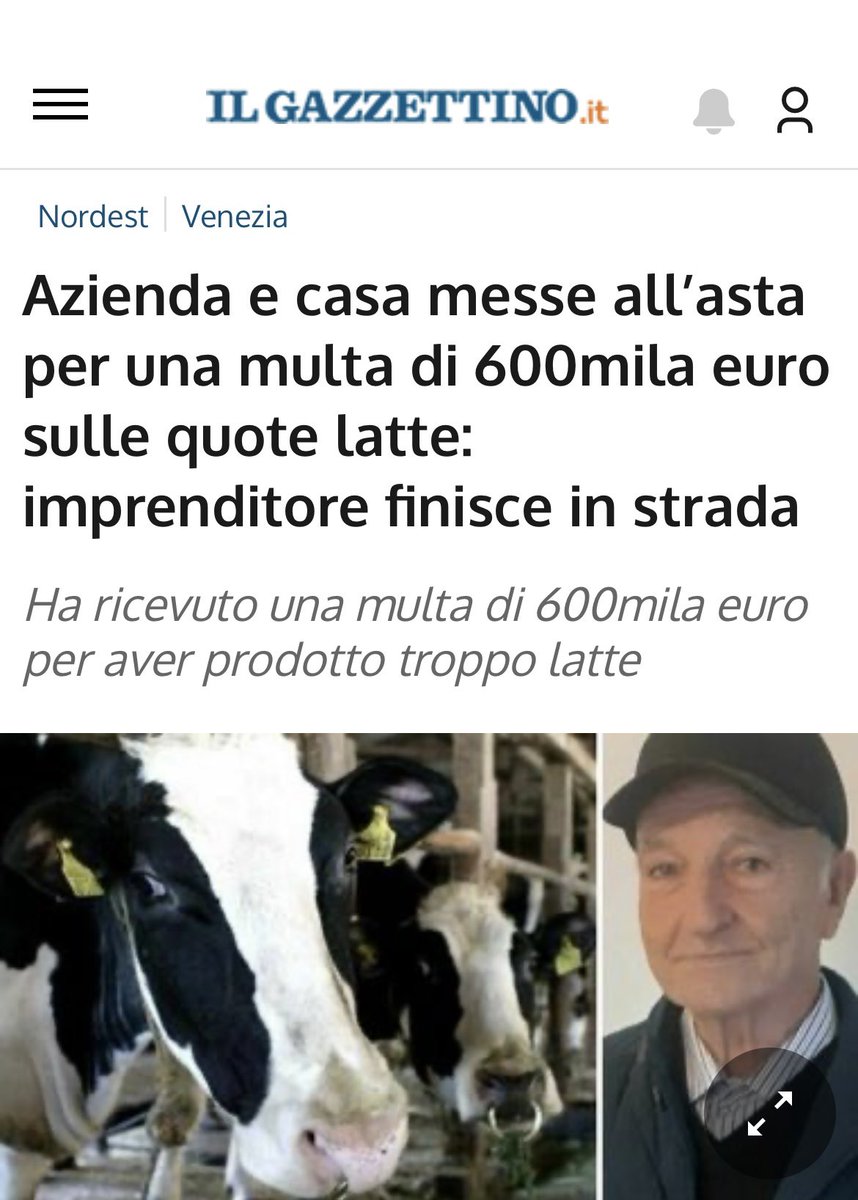 L’Unione Europea odia il popolo. Lo capite perché dobbiamo uscire da questa gabbia? MARCO RIZZO DSP