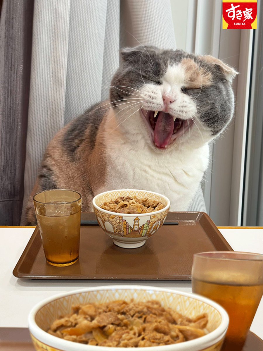 うなぎ(うなちゃん) (@una1535) / Posts / X