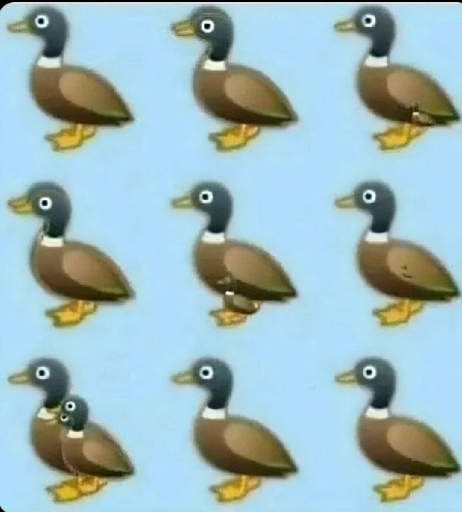 Eye test time 👀

Count the ducks carefully, how many can you see?…

Your answer says a lot about you 😅