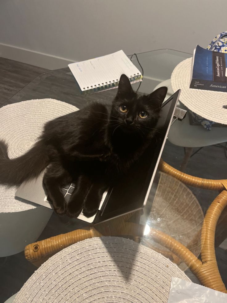 marrshellow's tweet image. ㅤ
ㅤ
Posesif banget sampe kerja aja engga dibolehin
ㅤ
ㅤ