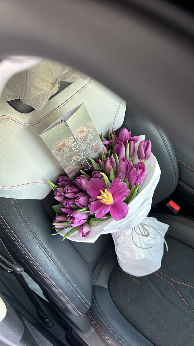 جمال التوليب💜💜