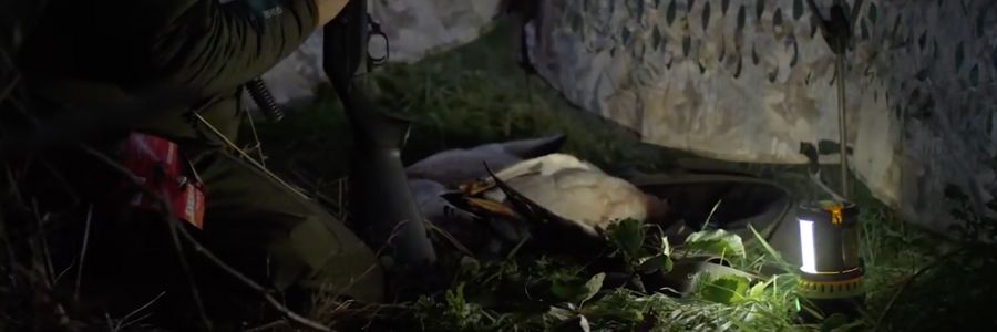 From hides to foreshore: choose the <a href="/StreamlightUK/">Streamlight UK</a>  that fits your day. Our UK fieldsports guide covers headlamps, hand torches &amp; lanterns—what to use and when.
vikingshoot.com/streamlight-fo…
#Fieldsports #NightShooting #Wildfowling #Hunting #Streamlight