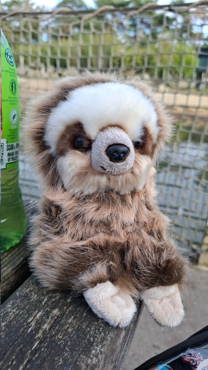 Moca🦙 (@mocapaca) / Posts / X