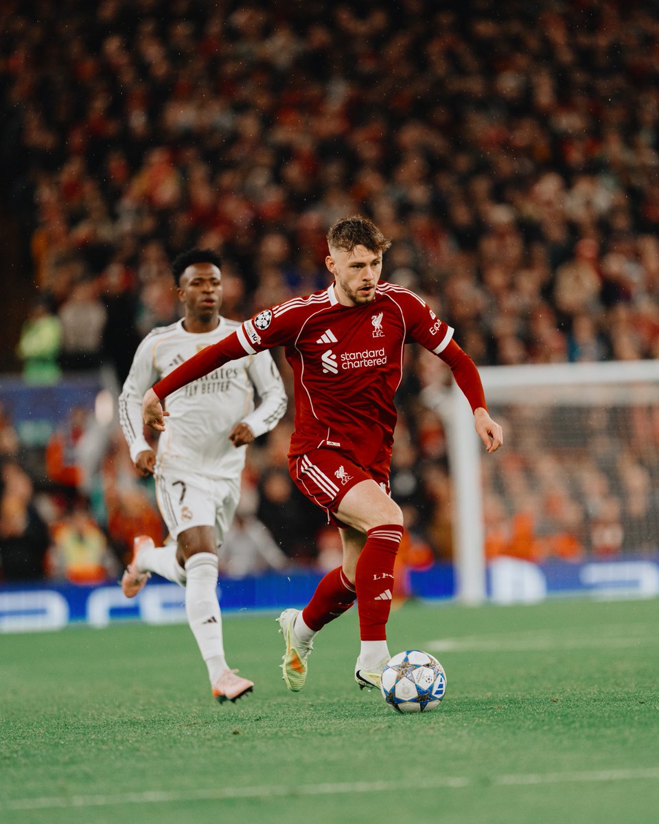 Steven Halliwell tweet media