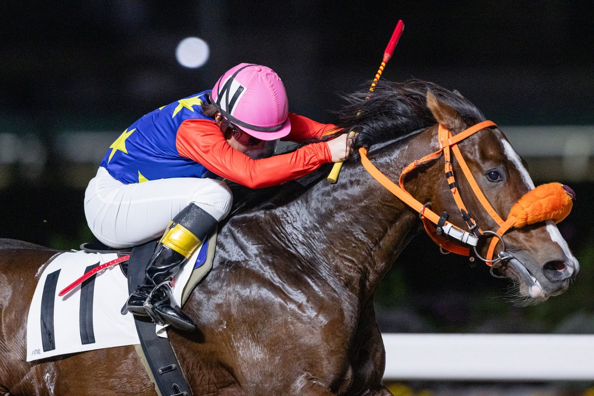 ＮＯＲＩです Nori on X