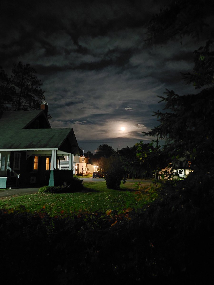 🇺🇸 Loup 🇺🇸 tweet media