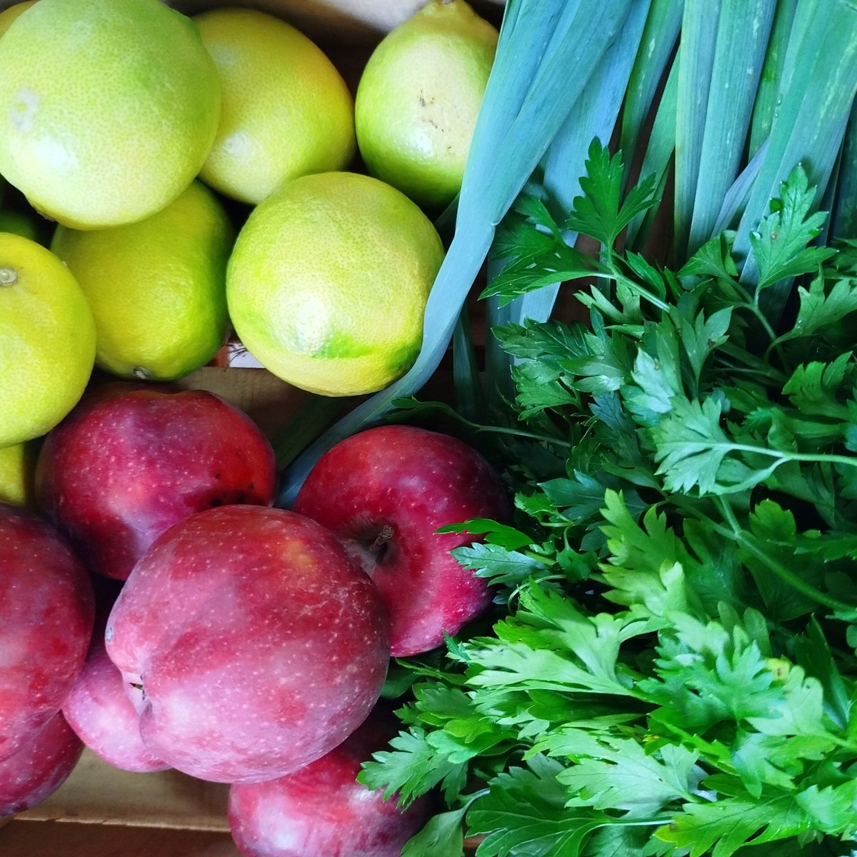 GoztepeKoop's tweet image. Çarsambanın bereketi tazecik meyveler, sebzeler, miss gibi yeşillikler, kooperatifte 💚💙

#göztepekoop #kooperatif #kooperatifçilik #dayanışma #tazesebzemeyve #gıdahakkı #gıdaegemenliği #yaşamıbirlikteörgütlüyoruz