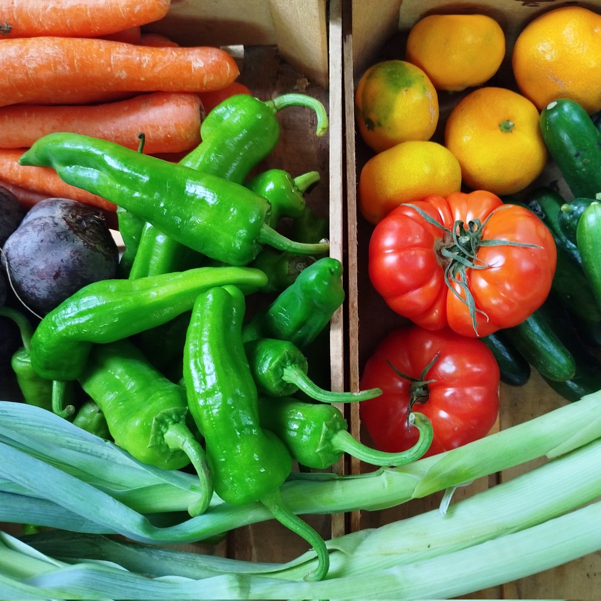 GoztepeKoop's tweet image. Çarsambanın bereketi tazecik meyveler, sebzeler, miss gibi yeşillikler, kooperatifte 💚💙

#göztepekoop #kooperatif #kooperatifçilik #dayanışma #tazesebzemeyve #gıdahakkı #gıdaegemenliği #yaşamıbirlikteörgütlüyoruz