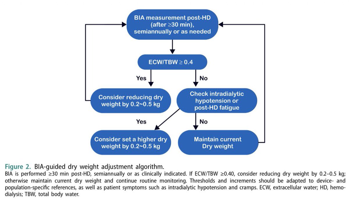 En hemodiálisis, evaluar el peso seco por Bioimpedancia a ≥30min después de la sesión. Cuando la relación ECW/TBW es ≥0,4, refleja sobrecarga de volumen y sugieren ↓ el peso seco entre 0,2-0,5 kg.
Acompañado con la clínica

Renal Failure 2025
10.1080/0886022X.2025.2567037