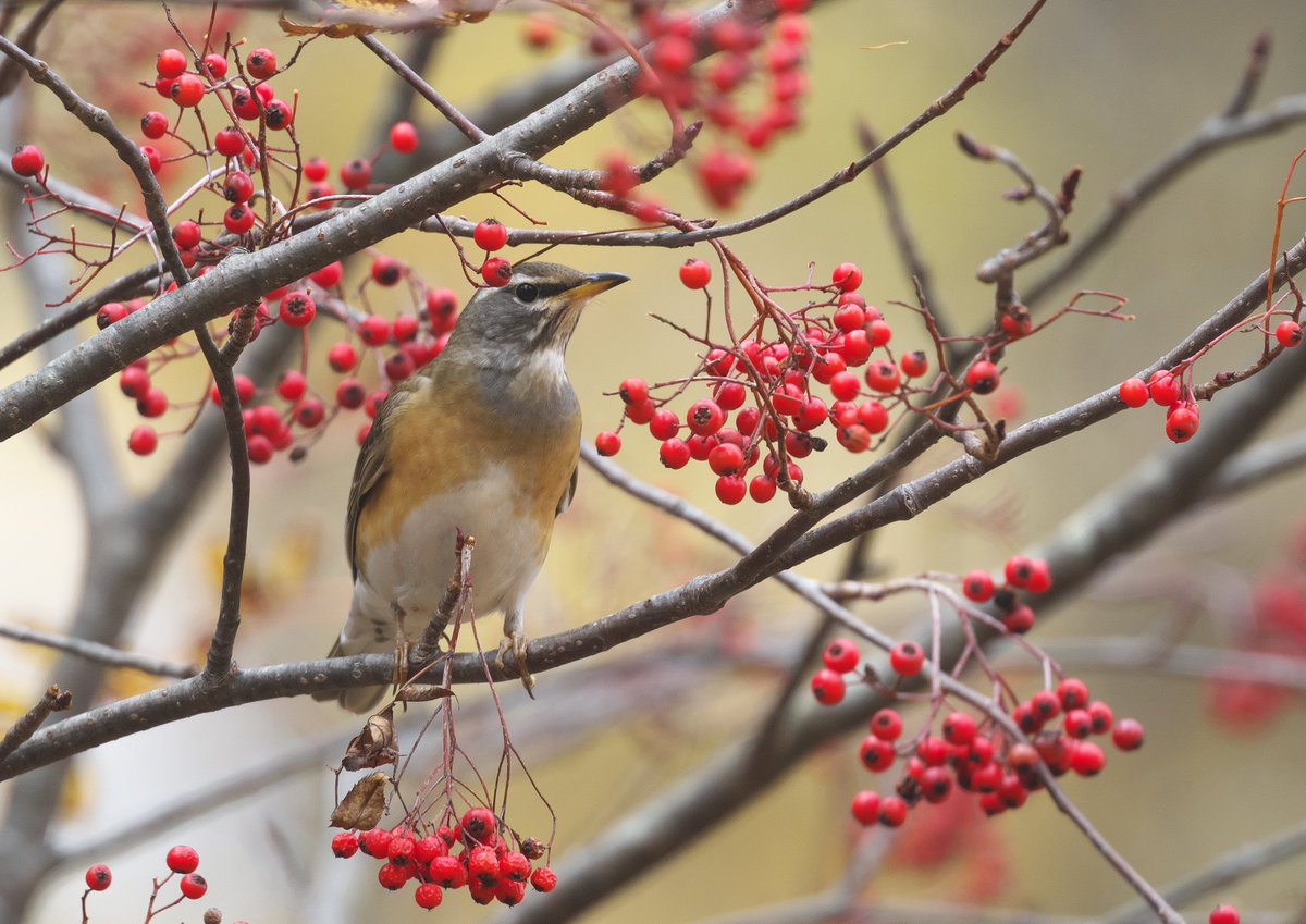 ご馳走に囲まれて