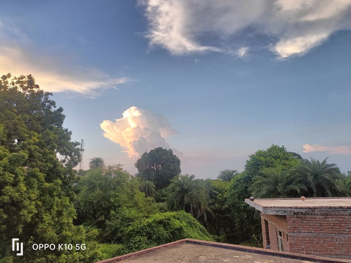 मजबूर कर दिया हालातों ने मुझे परदेशी बनने के लिए,

वरना गांव मेरी पहली मोहब्बत थीं।

Good Evening guys