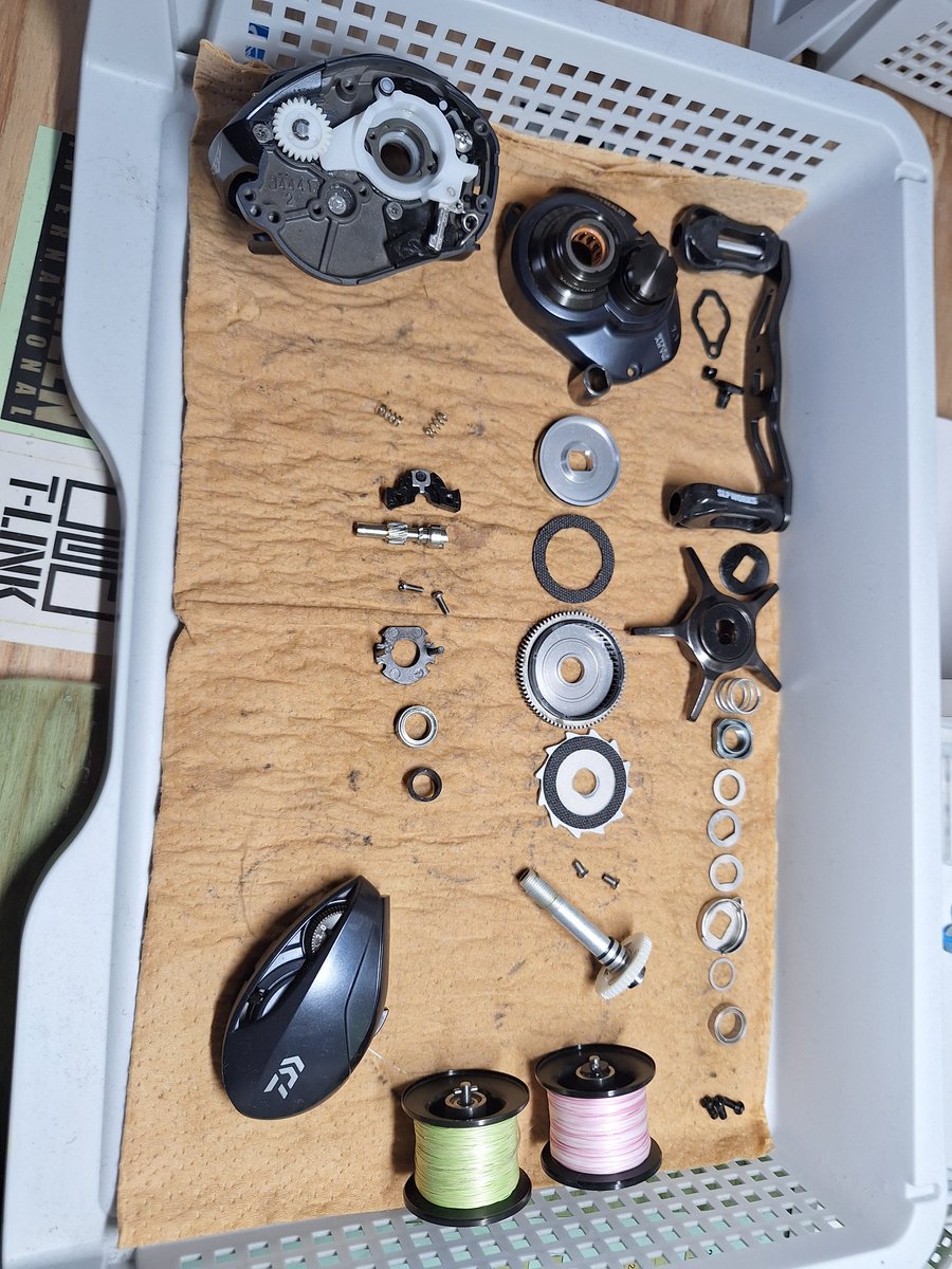 しまりすページ シマリスのしま on X