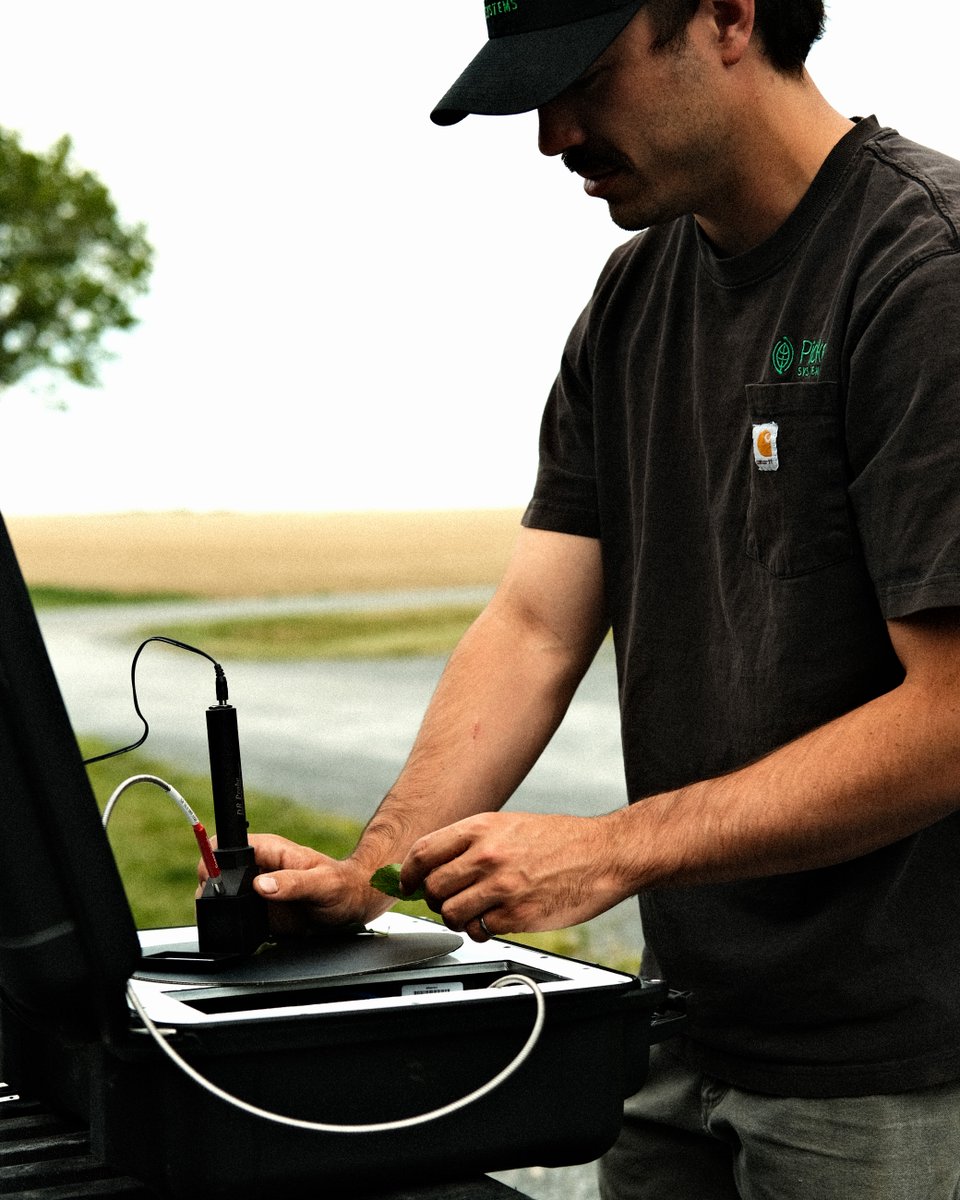 Faster nutrient insights mean better decisions for every acre. The LENS helps growers see what their crops need, when they need it. Learn more: picketa.com/secureyourlens

#Agronomy #CropNutrition #AgTech #PrecisionAg #Potato #Corn #Canola #Fertilizer #PlantAnalysis