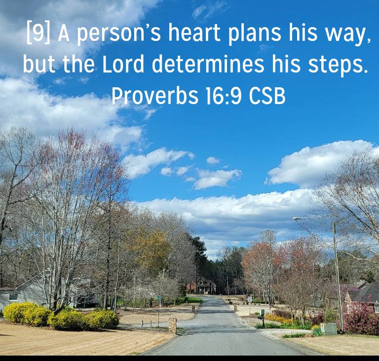 Proverbs 16:9 CSB
[9] A person’s heart plans his way, but the Lord determines his steps. 

bible.com/bible/1713/pro…