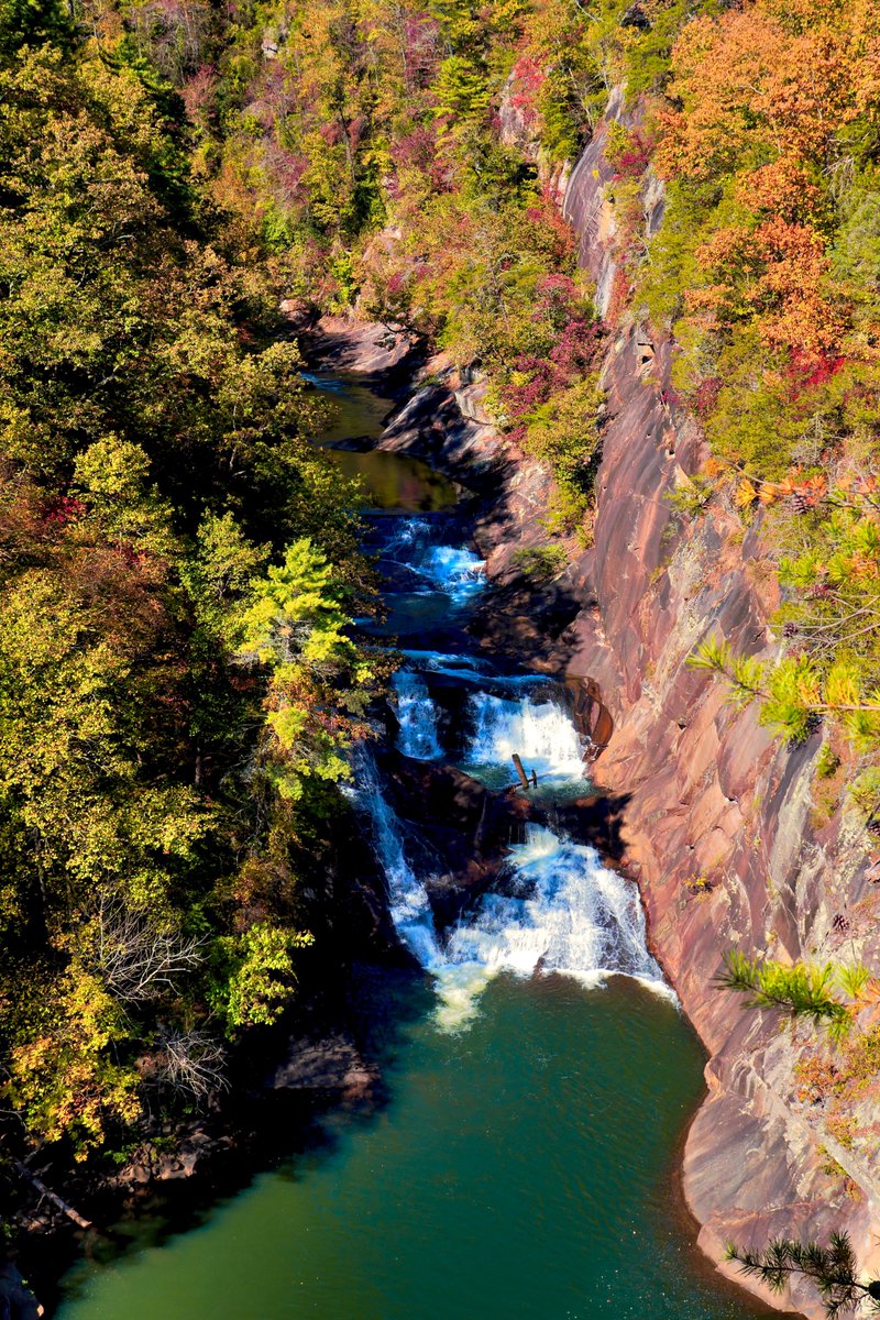 DeepGreens2's tweet image. Waterfall Wednesday Talulah Falls, Georgia #Photography #Nature #FallVibes