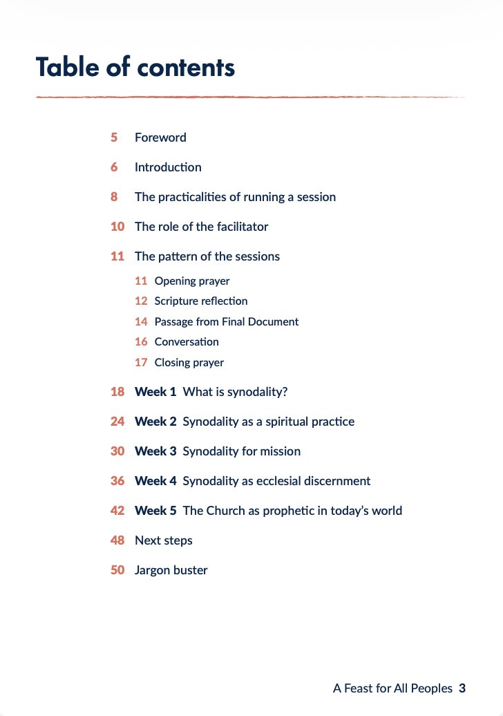 SchoolForSynodality tweet media