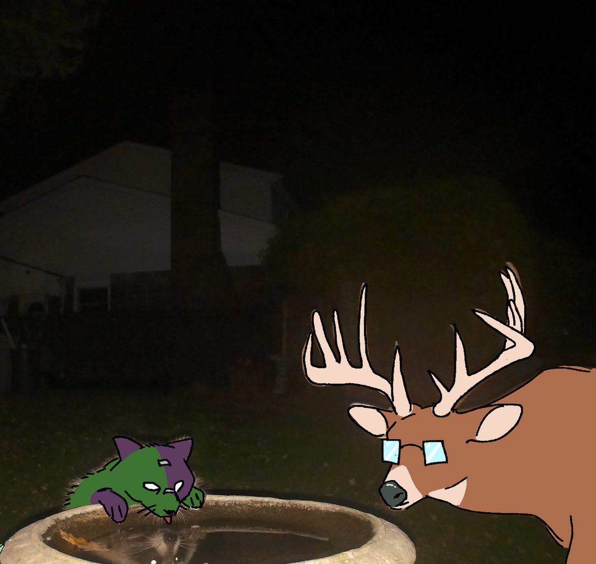 z0mbi3cat tweet picture