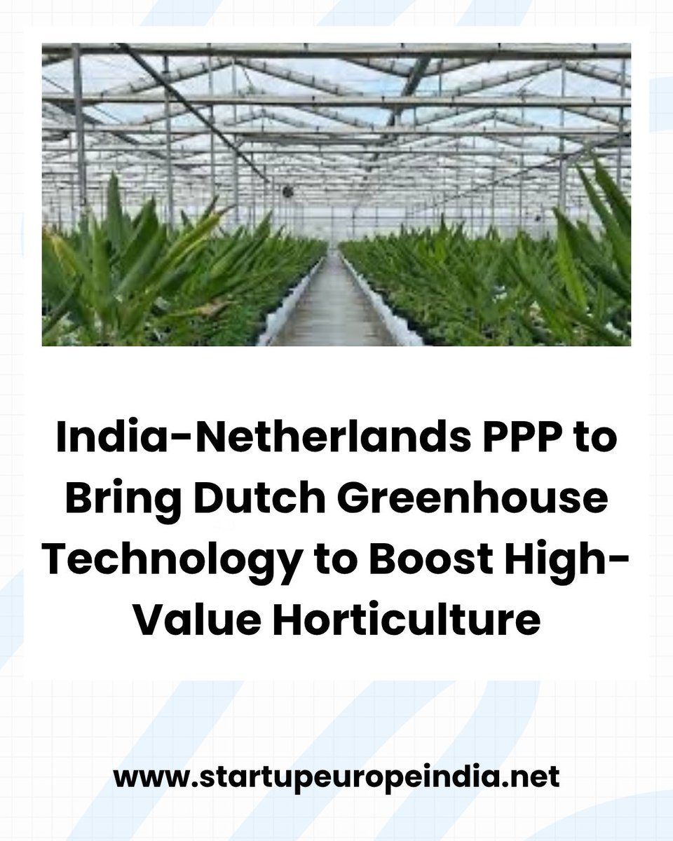 India-Netherlands Public-Private Partnership to Bring Dutch Greenhouse Technology to Boost High-Value Horticulture.
app.startupeuropeindia.net/feed/india-net…

#india #Netherlands  <a href="/InnoQuarter/">InnovationQuarter</a> <a href="/greenhousedelta/">Dutch Greenhouse Delta</a> <a href="/dcpcindia/">Department of Chemicals & Petrochemicals</a>