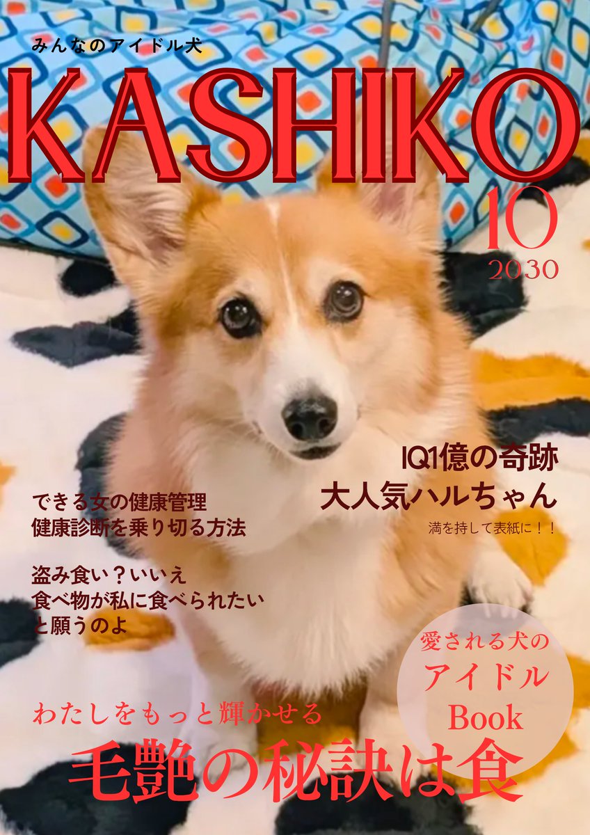 nekonoshiyonin's tweet photo. 洗い物とかあるのにやらずにはいられなかった…
大人しくやってきます。

 #柴犬スティーブch https://t.co/uiRMEu9iLm
