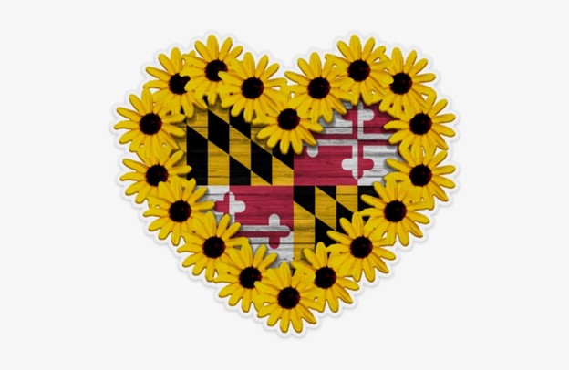 Candidate filing for the 2026 Gubernatorial Election is open! Some offices file with the State Board of Elections, others at our office. For details, follow: ow.ly/mZqj50V6pHI #BaltCountyVotes 

#BaltCoVotes #MDVotes
❤️🤍💛🖤