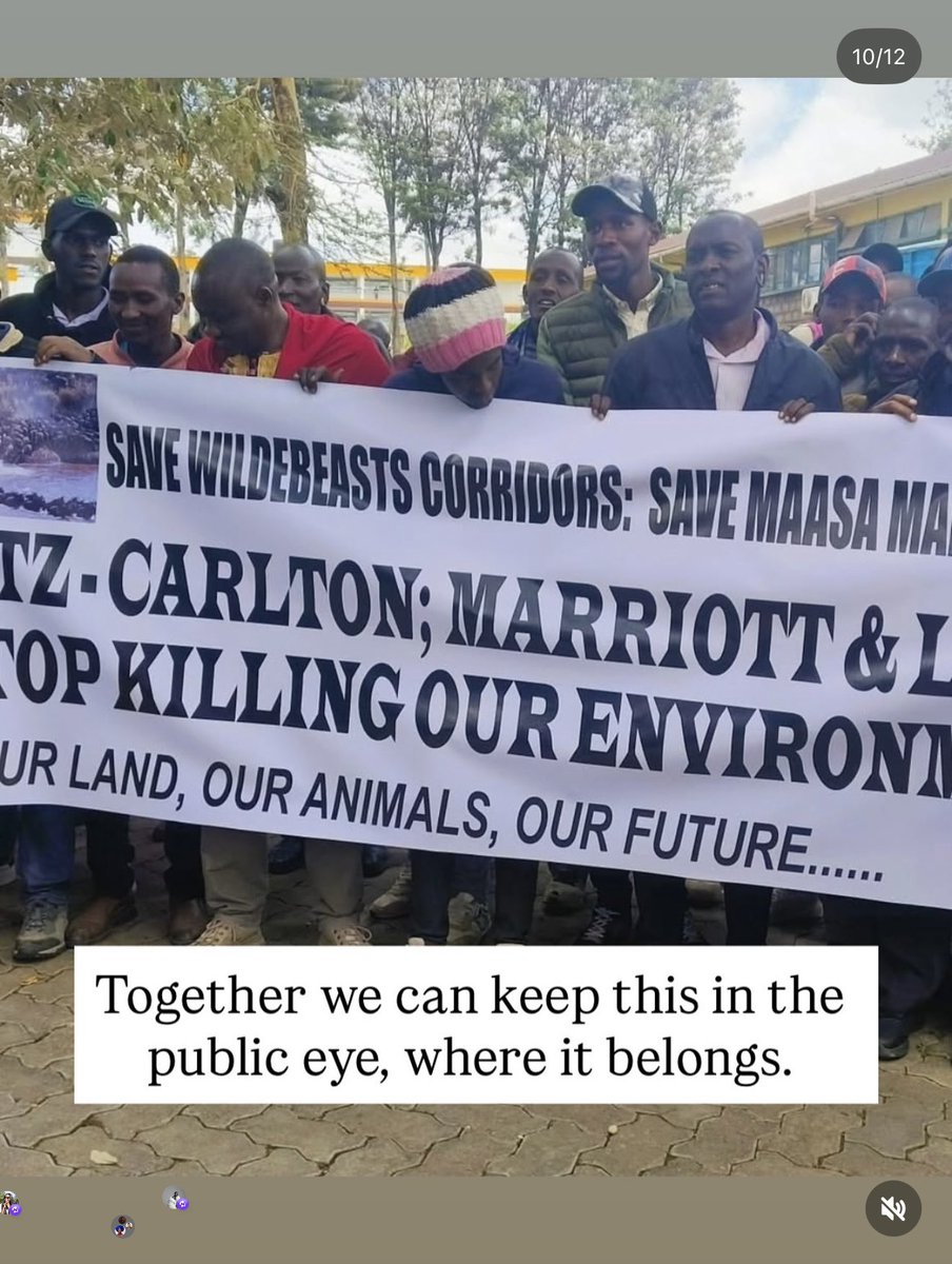 So, we need to talk about The Mara and what’s happening there. 
It began with a fence in the Maasai Mara.
Where elephants once crossed freely, a luxury lodge now stands.
They called it a “front-row seat to the Great Migration.”
But what happens when the front row becomes the