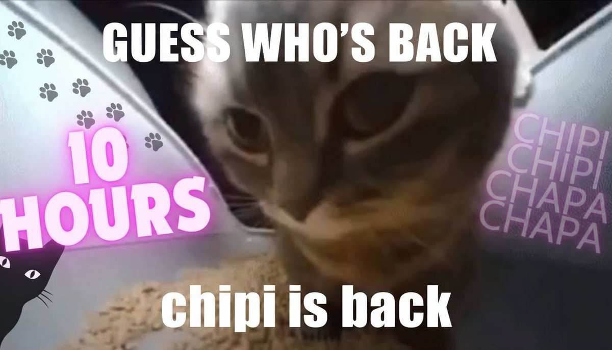 chipi_community's tweet photo. market up? chipi chapa market down? chipi chapa! https://t.co/chvNfTftSB