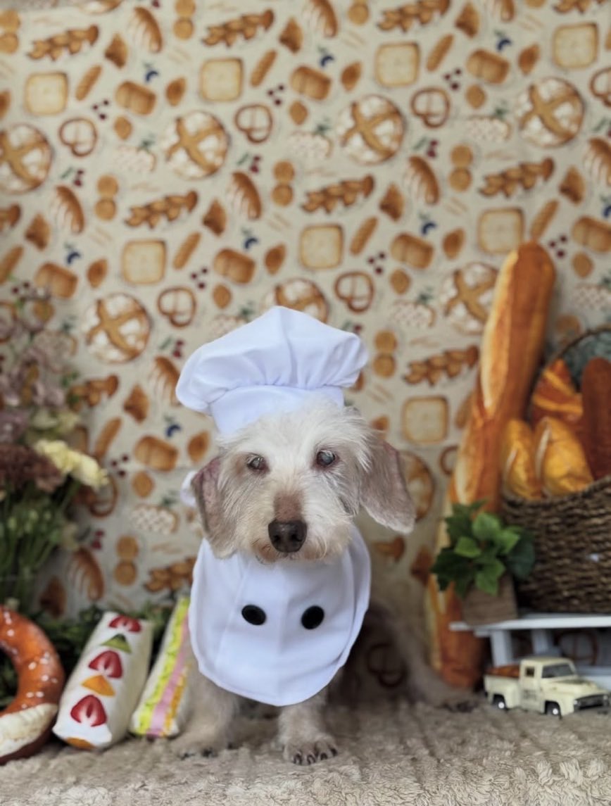 ととまる　ページ ととまる on X