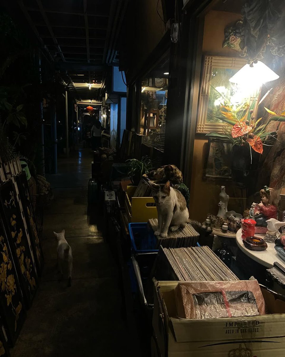 PRISCIES OFC 🐰 tweet media