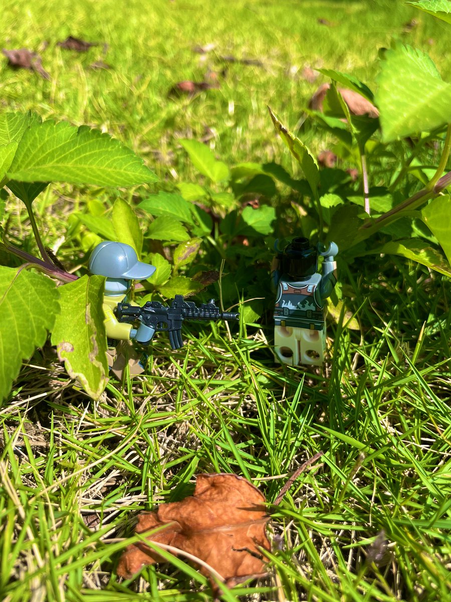 csjoyer's tweet image. Taking my agent out for a walk in the great outdoors.