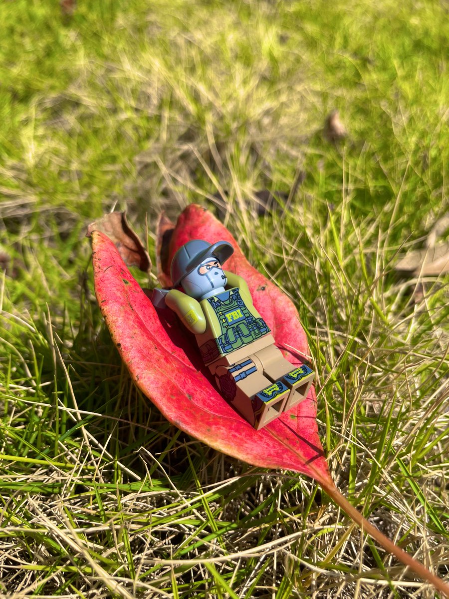 csjoyer's tweet image. Taking my agent out for a walk in the great outdoors.