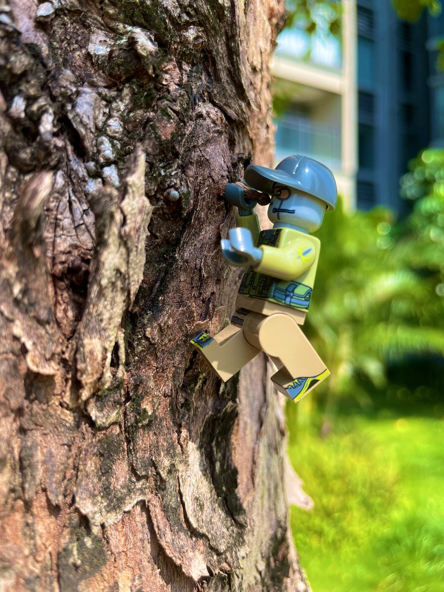 csjoyer's tweet image. Taking my agent out for a walk in the great outdoors.